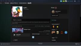 Vendo cuenta de steam lvl 26 (Varios juegos, prime csgo), USD 25.00