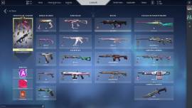 cuenta de Valorant con muchisimas skins, diganme y se las enseño, € 250.00