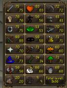 Cuenta de Runescape de lv intermedio - Mid lv acount osrs, USD 15.00