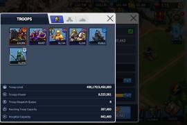 League of Kingdoms | Castle  Lvl 30, USD 30.00
