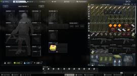 VENDO CUENTA TARKOV BÁSICA, € 25