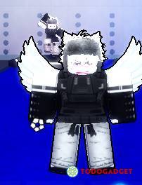 2 accounts from roblox more information in whatsapp, USD 5.00