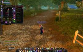 priest humano alianza wow level70, USD 180.00