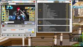 ACCOUNT ELSWORD [EU] CHUNG CC +11 FOJ + 10 / + 11 RIGOMOR, 195 RESO, USD 200