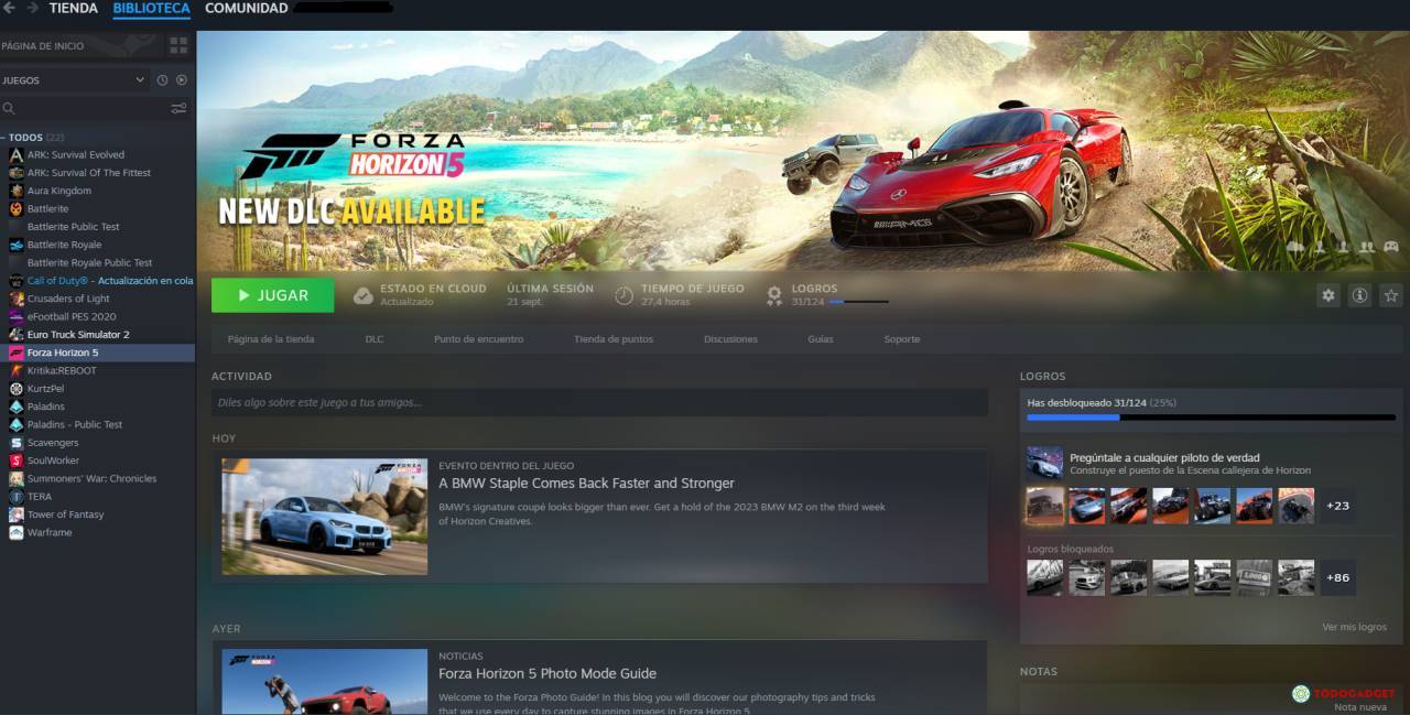 VENDO CUENTA DE STEAM CON SOLAMENTE FORZA HORIZON 5 PREMIUM EDITION, USD 50.00
