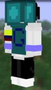I make Minecraft Skins (Not necessarily like the one I attached), USD 1