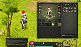 VENDO MI CUENTA DOFUS 2.0 SERVER DRACONIROS CON 22 MILLONES DE KAMAS, USD 55.00