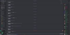 I sell crypto-based discord server (6,6k users), € 400