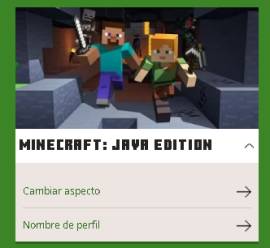 Minecraft Java Pc - Premium - Migrada, USD 29
