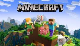 Venta de Servidor de Minecraft Java Edition, USD 350